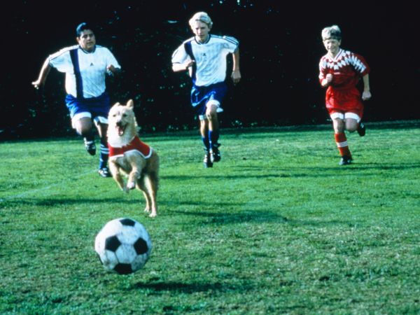 Soccer Dog: The Movie on AllMov...